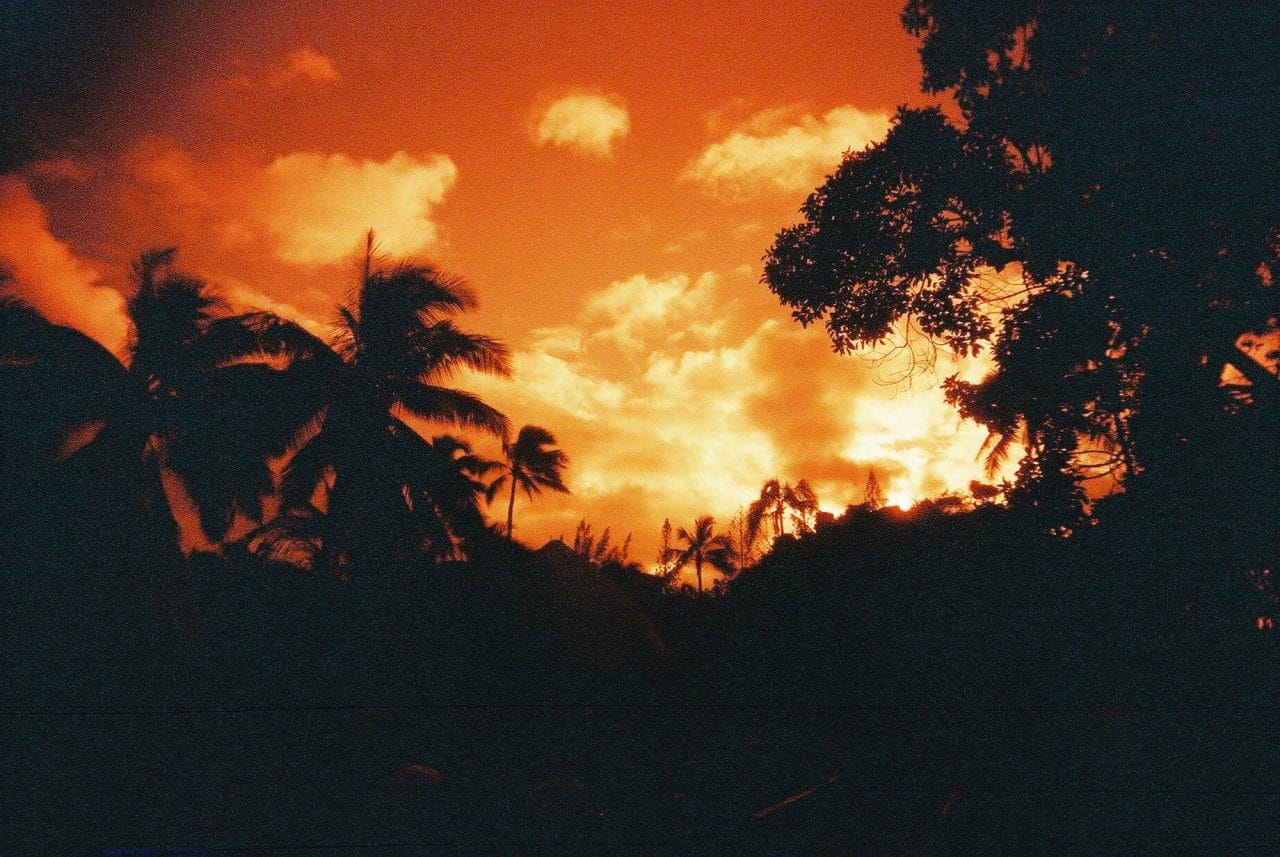 Hawaiian hues - 2015-06-16- Lomo Redscale XR 50-200 shot at EI 200. Color redscale negative film in 35mm format.