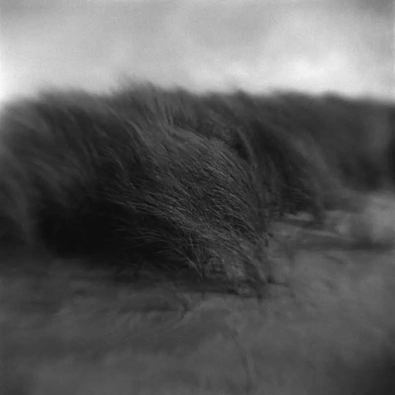 Dune #1 - Kodak Brownie Hawkeye (flipped lens) - Kodak TMAX 400