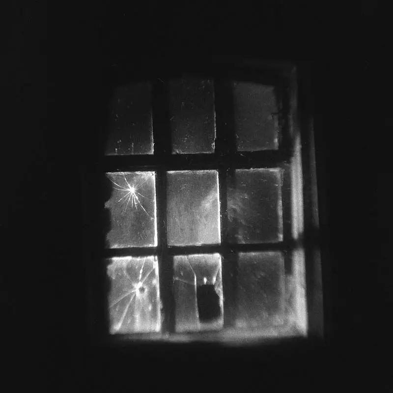 The window in the creepy shed - Kodak Brownie Hawkeye (flipped lens) - Kodak TMAX 400