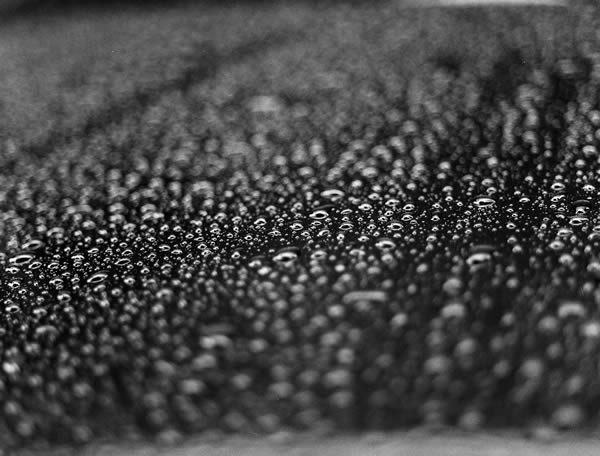 Fizz (aka "after the rain") - Rollei RPX 400 shot at ISO400. Black and white negative film in 120 format shot as 6x4.5.