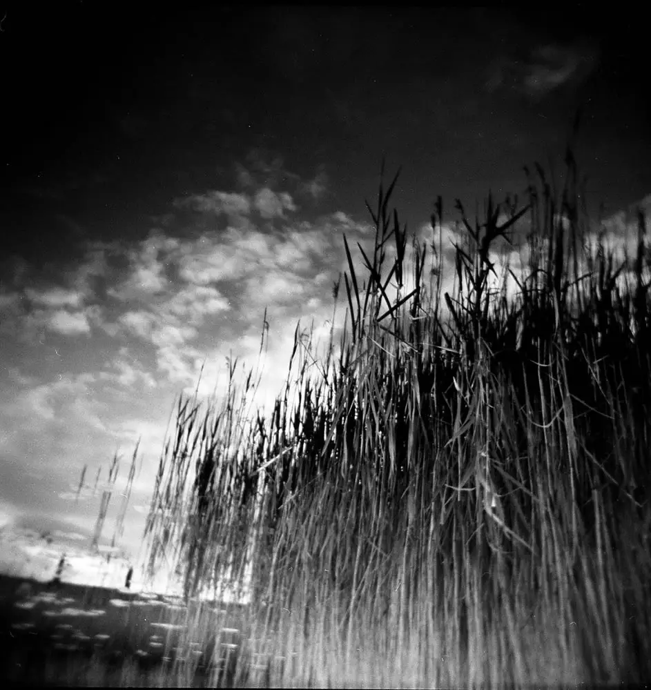 Holga Dreams – double exposure, Holga (another love affair camera) shot on the Cardiff wetlands just around the corner from the busy bay area – a perfect camera for expressing dreams
