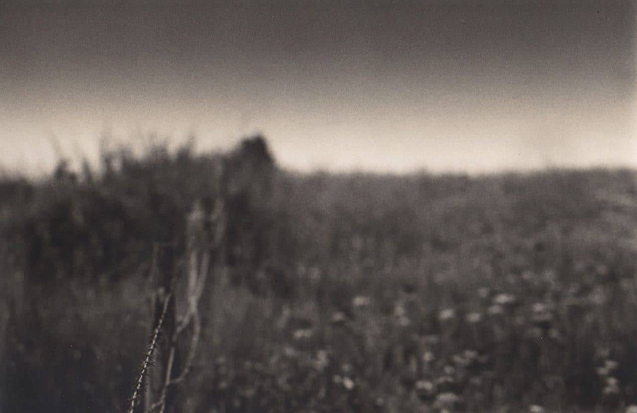 Edge of a field - 200mm lens at f4, Ilford FP4.