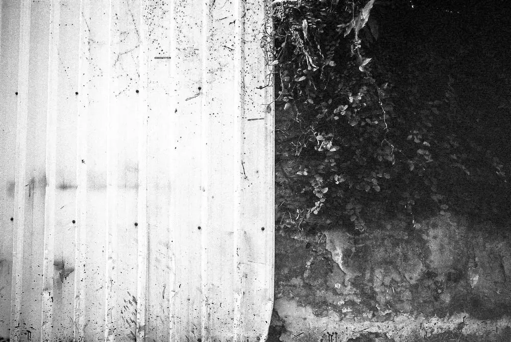 Two-tone - Fuji Neopan 400 shot at ISO 200. Black and white negative in 35mm format Push processed one stop.