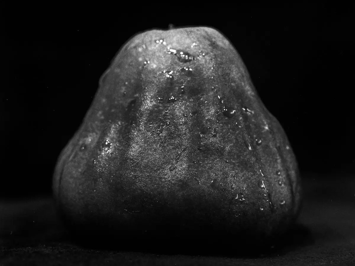Wax apple light study #01 - Ilford Pan F Plus shot at ISO50. Black and white negative film in 120 format shot as 6x6. 32E extension tube.