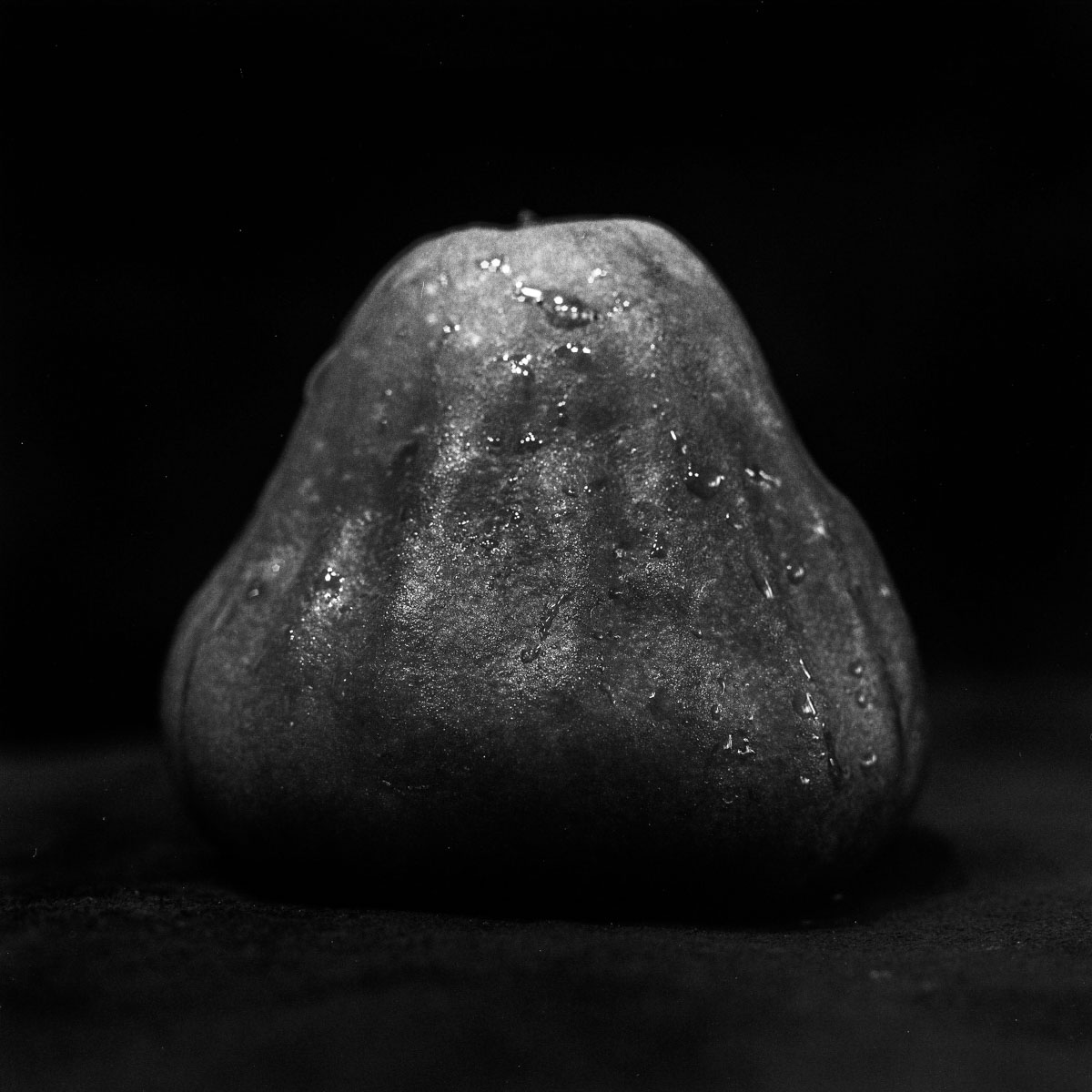 Wax apple light study #01 - Ilford Pan F Plus shot at EI 50. Black and white negative film in 120 format shot as 6x6. 32E extension tube.