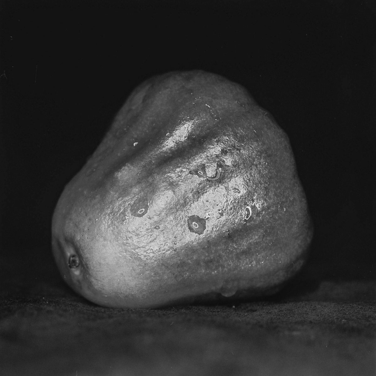 Wax apple study #02 - Ilford Pan F Plus shot at EI 50. Black and white negative film in 120 format shot as 6x6. 32E extension tube.