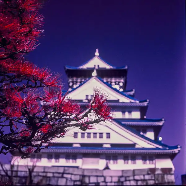 Osaka infrared - Kodak Aerochrome III (1443) shot at ISO400. Color infrared slide film in 35mm format. Orange #21 filter.