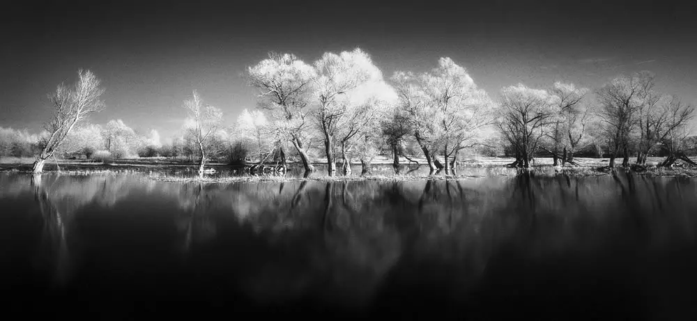 Reflections, Narew River - Mamiya 7ii - Efke Aura 820
