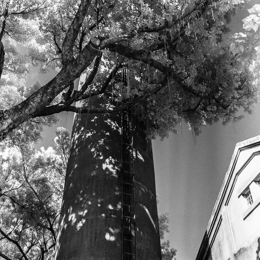 Stack - Rollei Infrared 400 shot at EI 6 with R72 filter. Black and white infrared film in 120 format shot as 6x6.