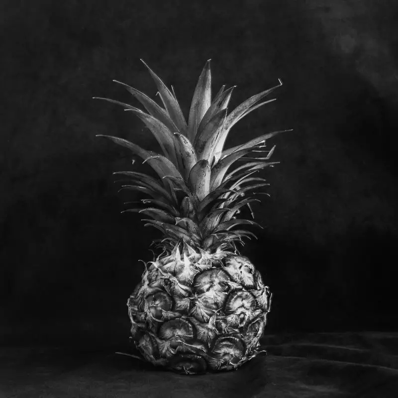 Pineapple light study #01 - Shanghai GP3 100 shot at EI 400. Black and white negative film in 120 format shot as 6x6.