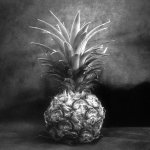 Pineapple light study #02 - Shanghai GP3 100 shot at EI 400. Black and white negative film in 120 format shot as 6x6.