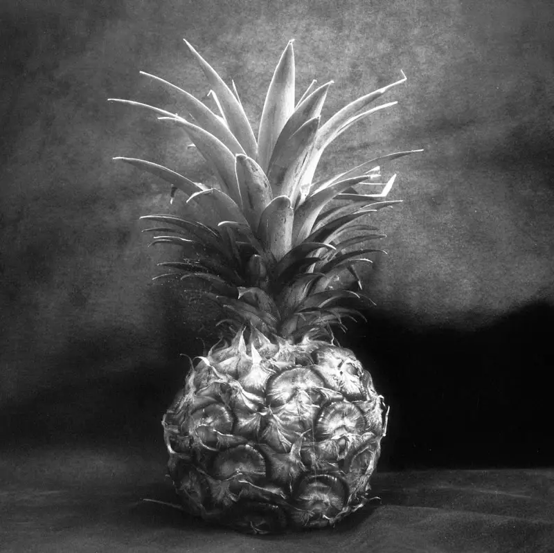 Pineapple light study #02 - Shanghai GP3 100 shot at EI 400. Black and white negative film in 120 format shot as 6x6.