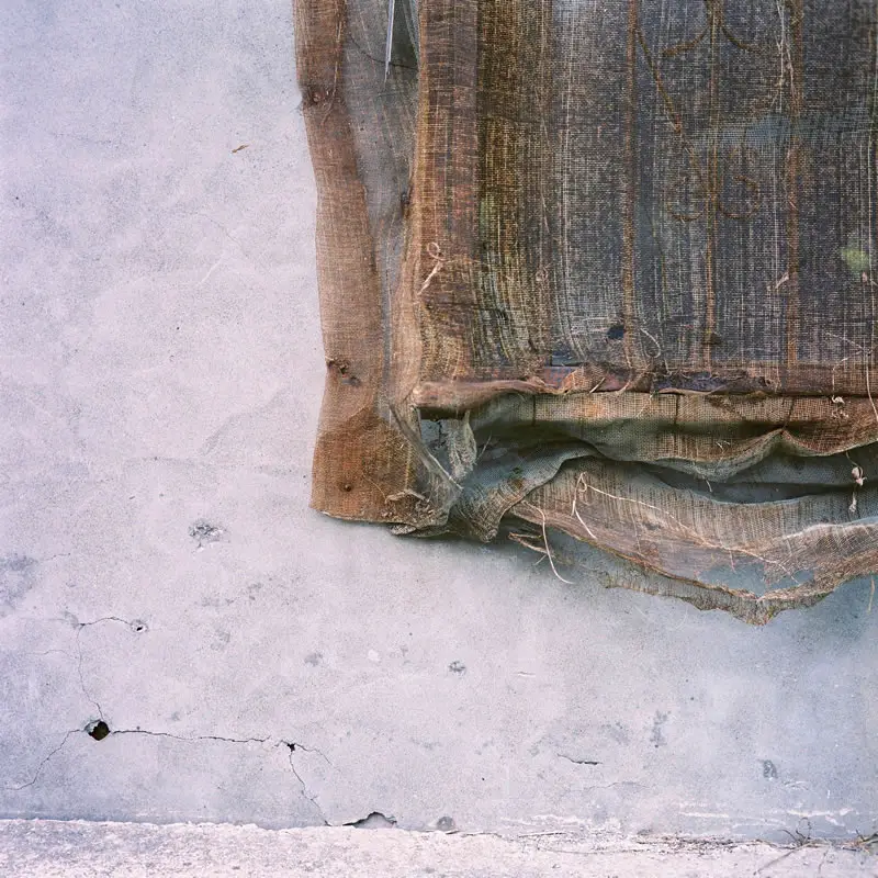 Meshed up - 2015-05-02 - Kodak Portra 400VC shot at EI 320. Color negative film in 120 format shot as 6x6.