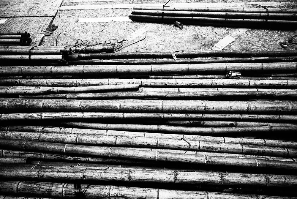 Bamboozled - Eastman Double-X 5222 shot at EI 800. Black and white film in 35mm format. Push processed 1+2:3 stops.