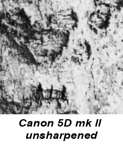 Canon 5d marl II and Contax 60/2,8 Makro Planar crop