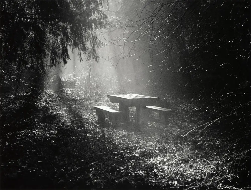 Marbury Bench 2007 - Ilford XP2 - Canon EOS 5 - Neil Hibbs, Harman Technology Lab and Technical Manager