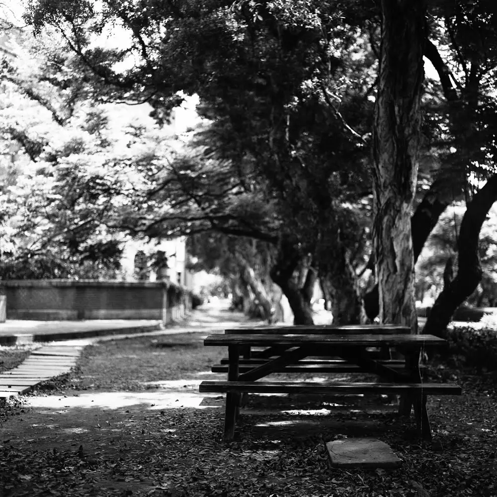 Bench - Ilford Delta 400 Professional shot at EI 400. Black and white negative film in 120 format shot as 6x6. 2x Teleconverter.