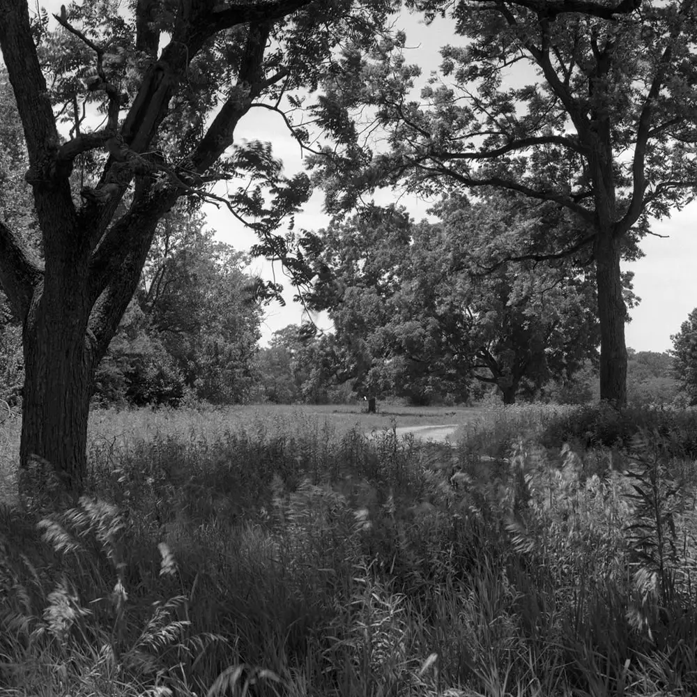 The site of the former Shawnee Village of Prophetstown, destroyed during the battle of Tippecanoe, a prelude to the Anglo-American War of 1812. Hasselblad 500c – Carl Zeiss Planar 80mm 1:2.8 – Ilford FP4+ - Kodak D-23.