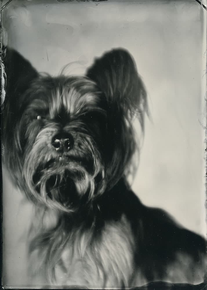 How to: An introduction to wet plate collodion