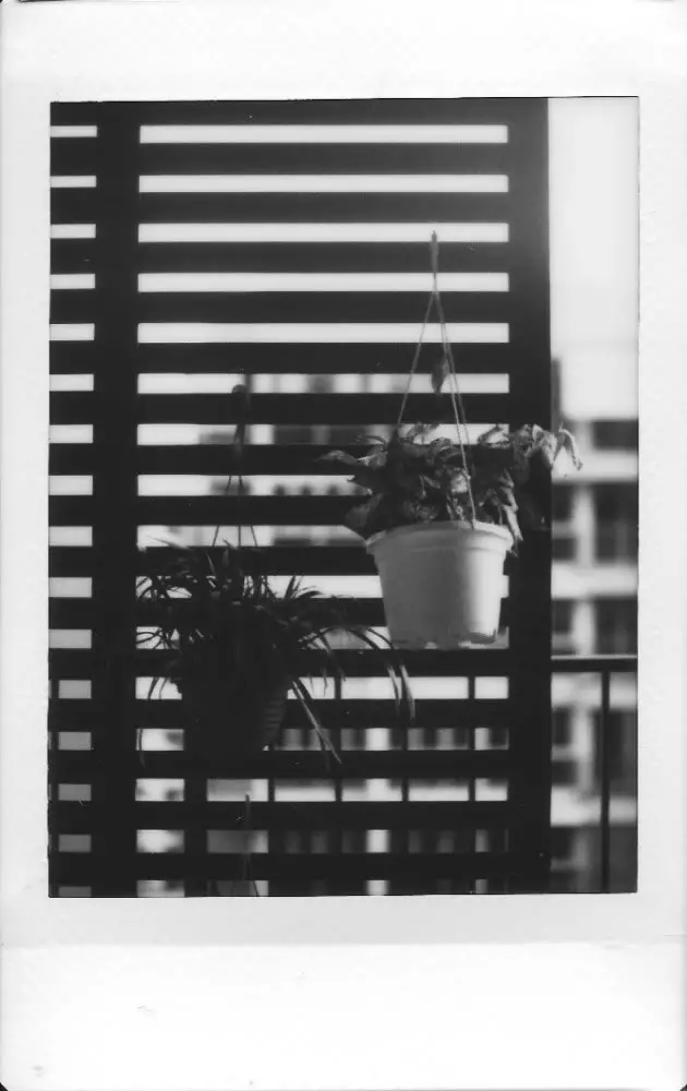 One of our first test shots with the instax mini monochrome film! We must commend on the focusing ability of the lens.