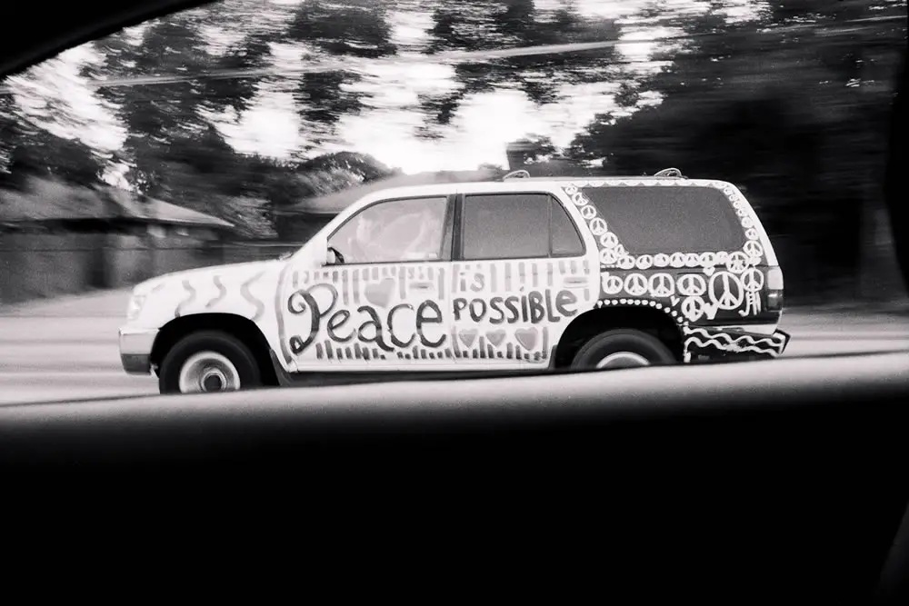 Peace is possible - Inspired by Friedlander