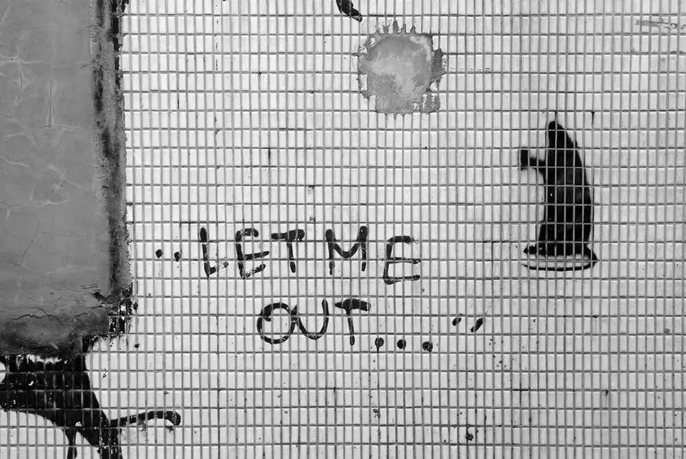 Let me out - Shot on Kodak T-MAX 100 at EI 100. 35mm Black and white film in 35mm format.