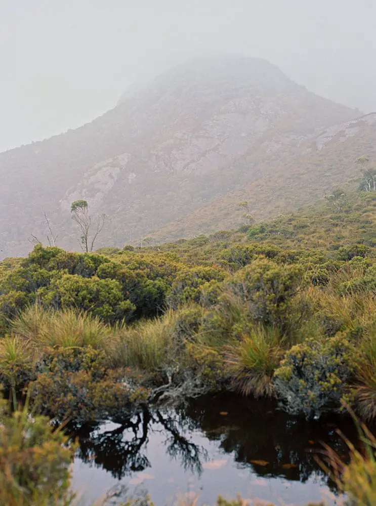 Tasmania Travelogue - Mist almost obscures the mountain in Cradle Mountain National Park.
