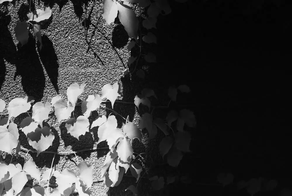 Light and shade - Shot on JCH Streetpan 400 at EI 12. Black and white negative film in 35mm format. R72 720nm filter.