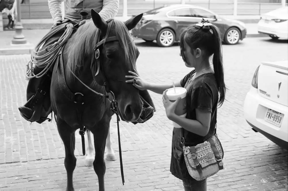 Daughter and horse - Fort Worth