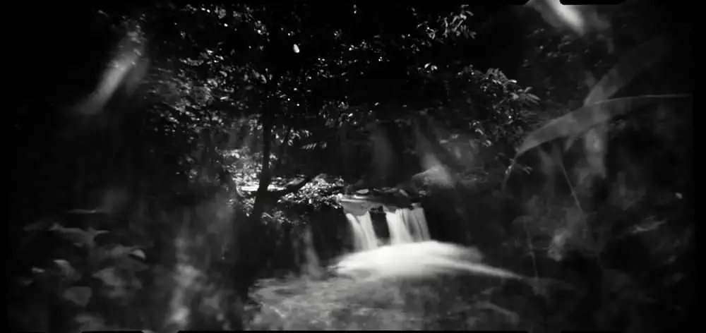 "Untitled", Berenbum rainforest, Malaysia. Noon 612 pinhole, 60mm, f256, loaded with Fuji Acros 100 exposed at EI 100, developed in Adox Rodinal 1:50.