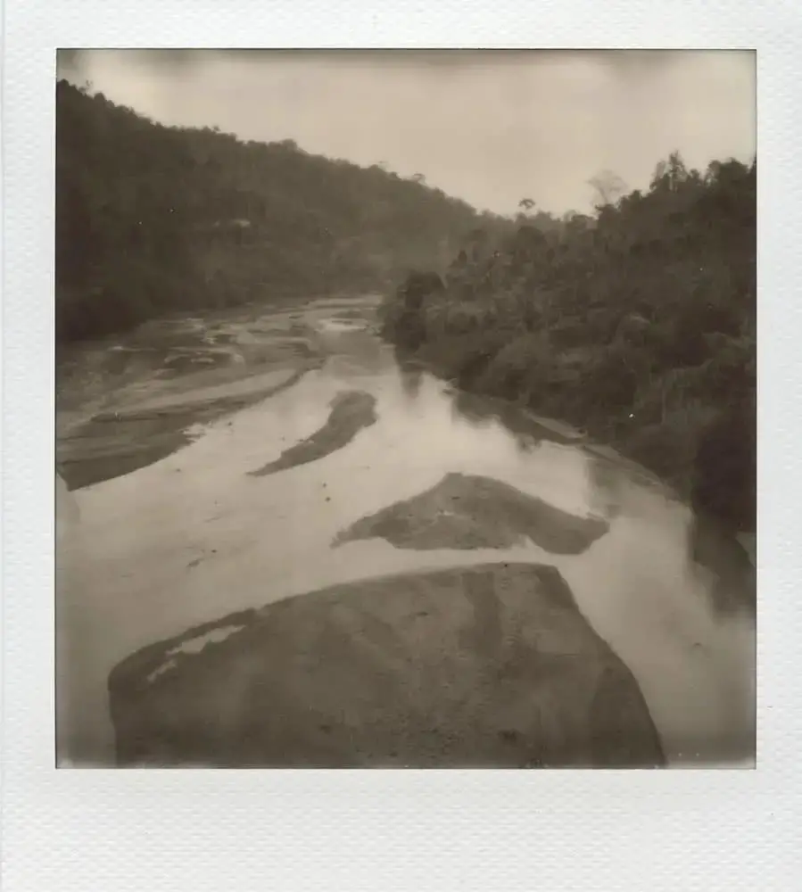"Untitled", Taman Negara jungle, Malaysia. Impossible 600 film in Polaroid SX70 (with exposure filter and compensation).