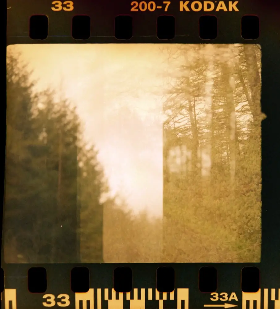 Pine Forest, Snowdonia, April 2017 - Agfa Paramat with Kodak 200. Two half frame images that overlapped.