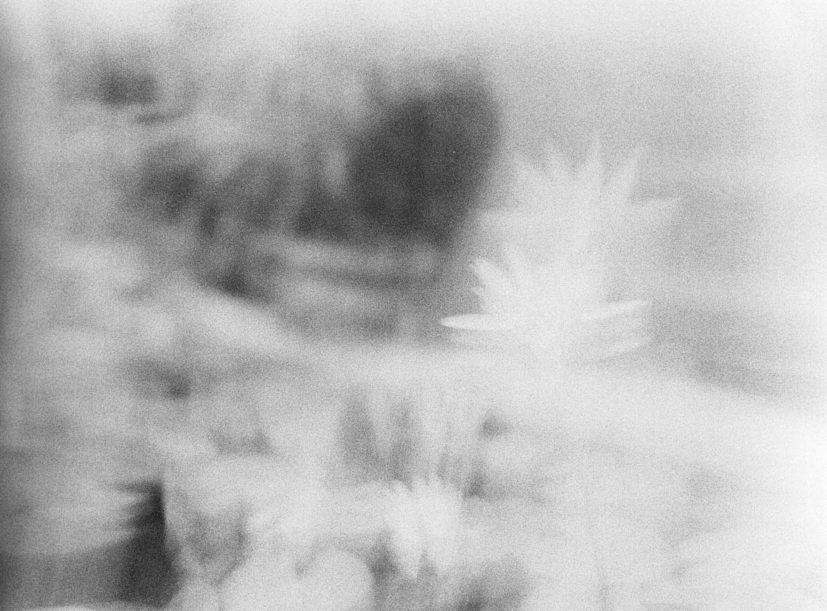 4x - Shot on ILFORD HP5 PLUS at EI 1000. Black and white negative film in 120 format shot as 6x4.5. Push processed 1+1/3 stops.