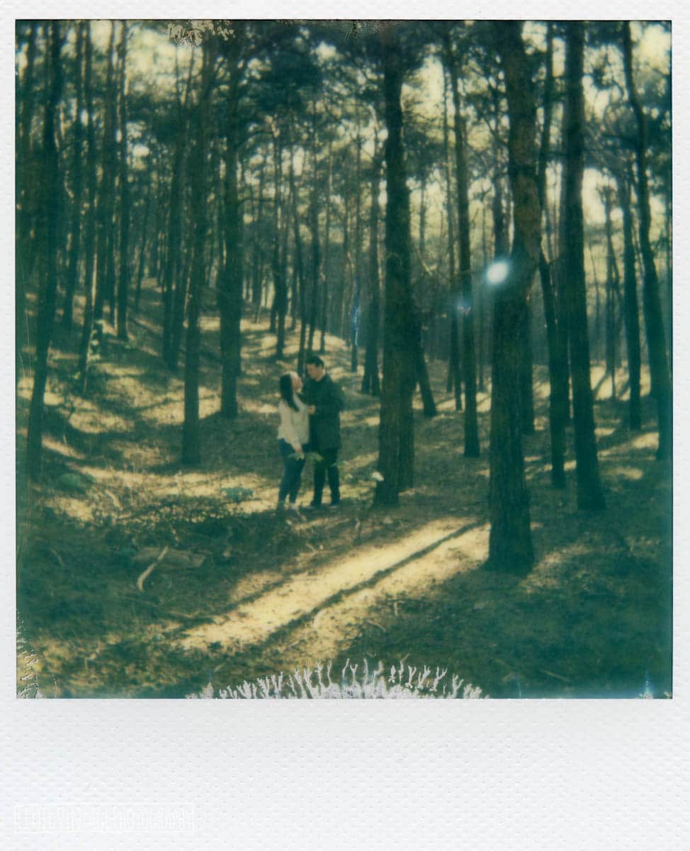 Formby Squirrel Reserve, Engagement Shoot 2017. Shot on Polaroid Close Up 600, Impossible Project