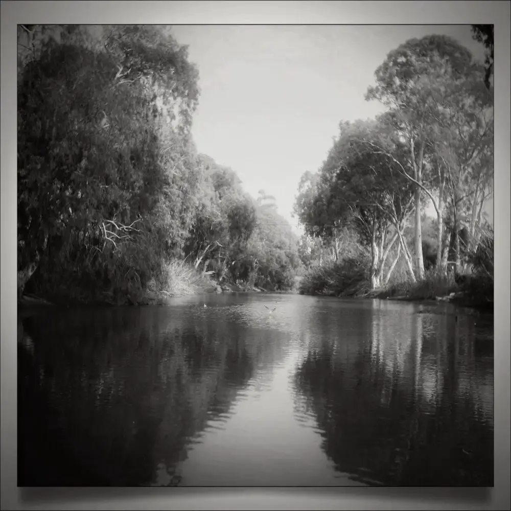 Riverbank, Cinestill 50D converted to black and white, Rolleicord II Triotar.