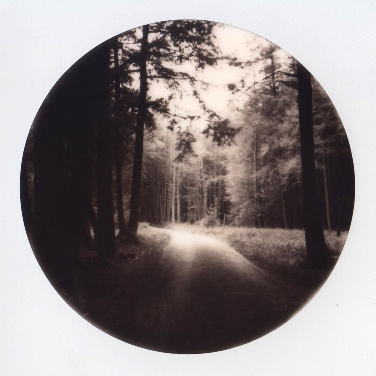 Cook's Forest - Polaroid SX-70 and Impossible Project Round Frame film