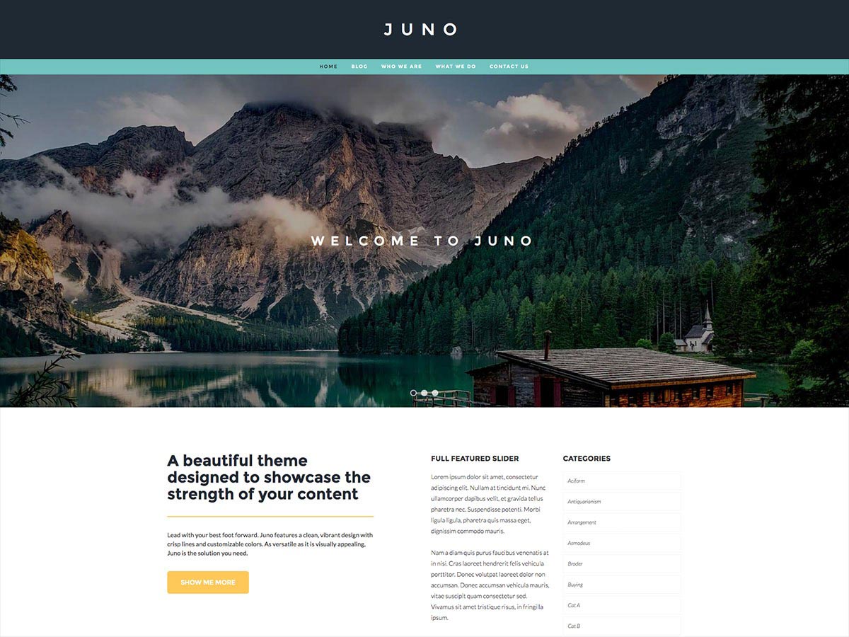Wordpress - Juno Theme