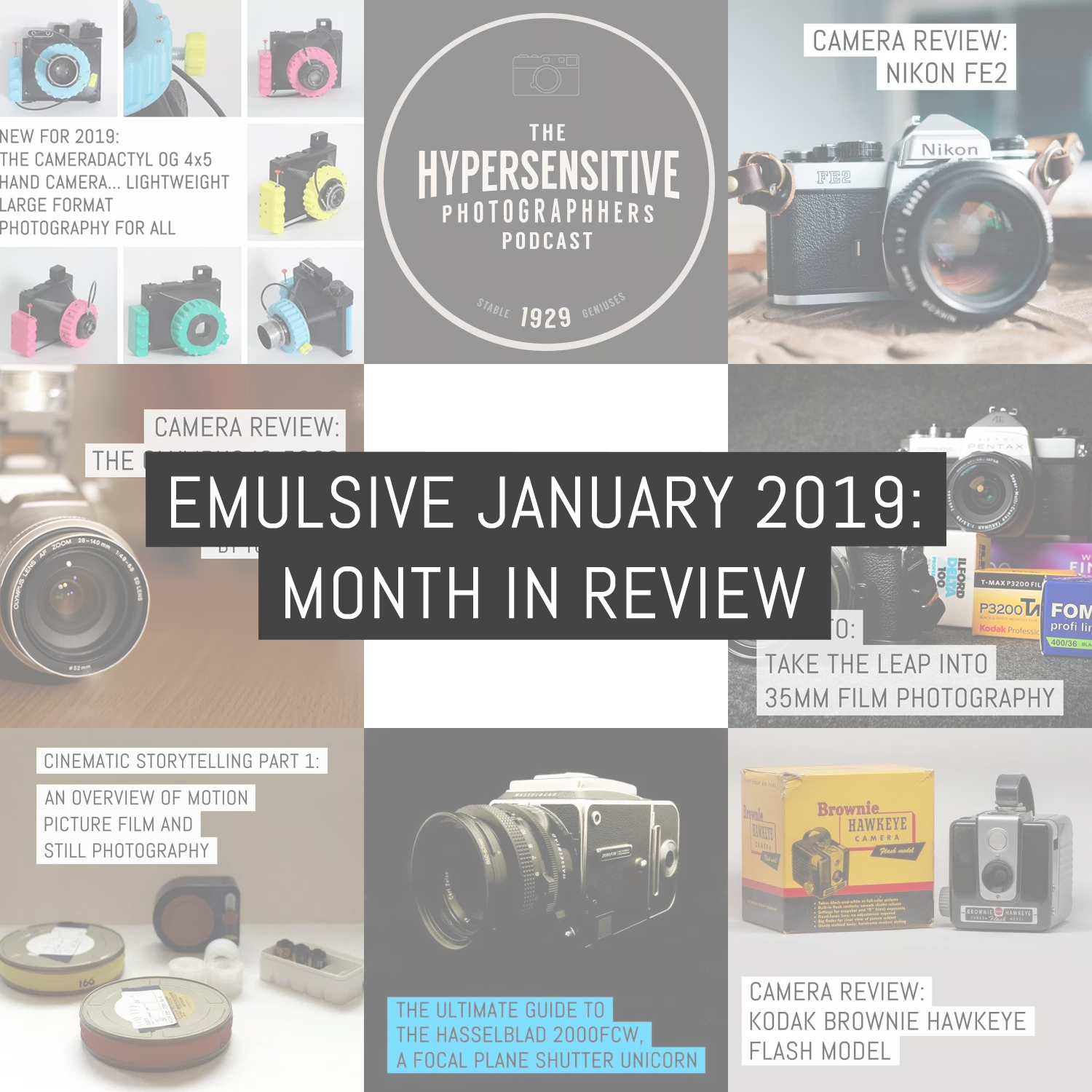 EMULSIVE January 2019: month in review