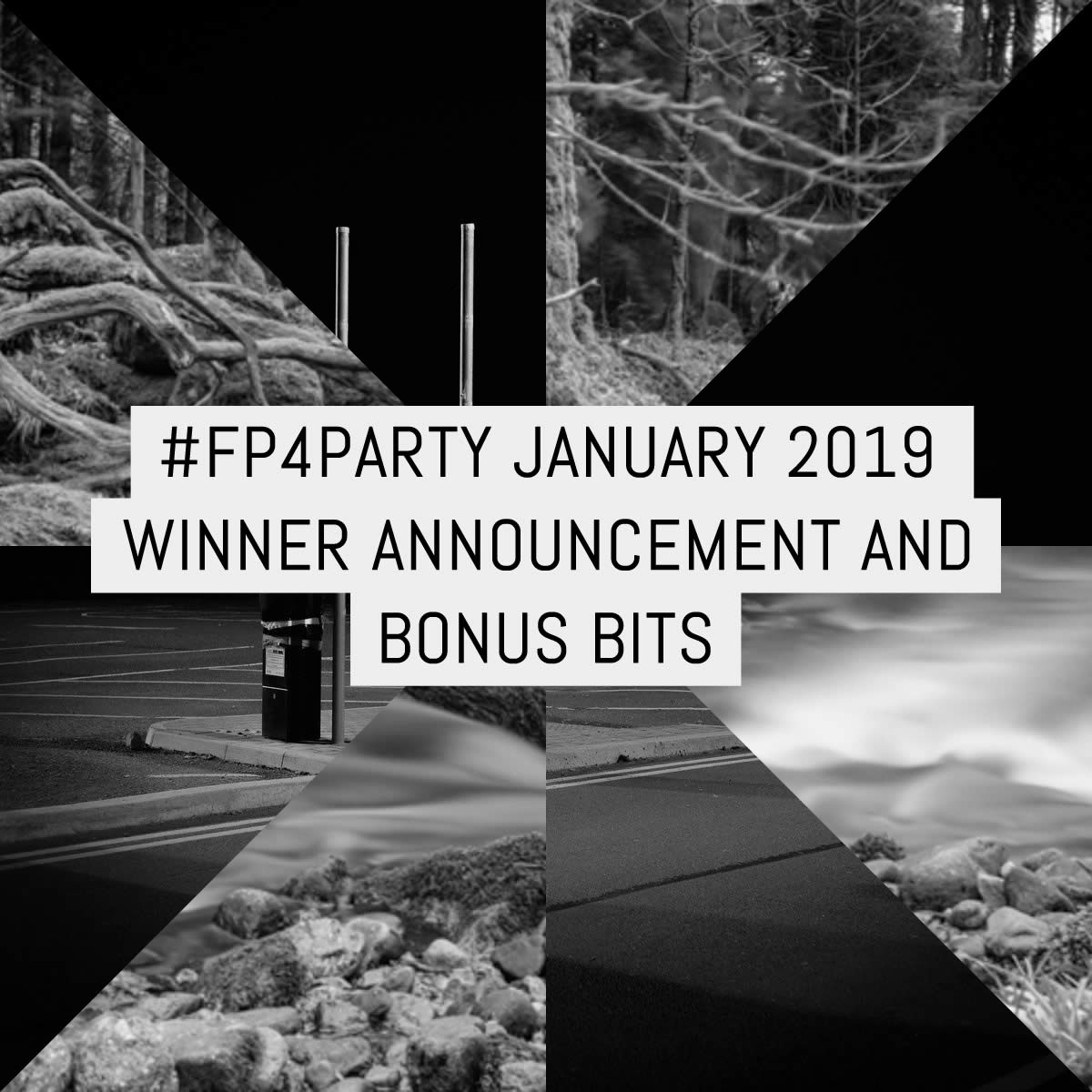 #FP4party January 2019 winner announcement and bonus bits