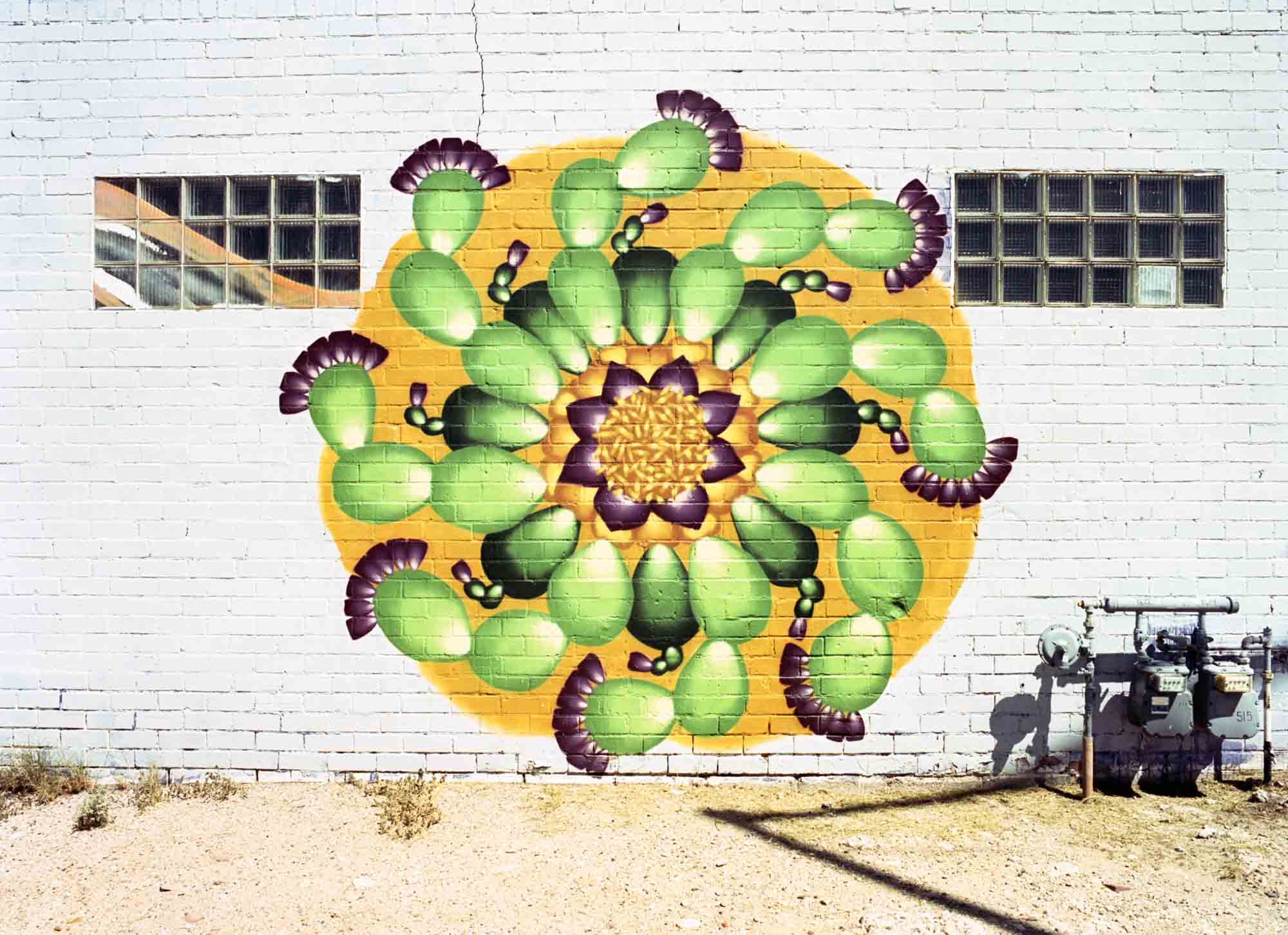 Cactus Mandala mural by Zina Rubiner - Mamiya-Sekor C 45mm 2.8 N, Kodak Portra 400