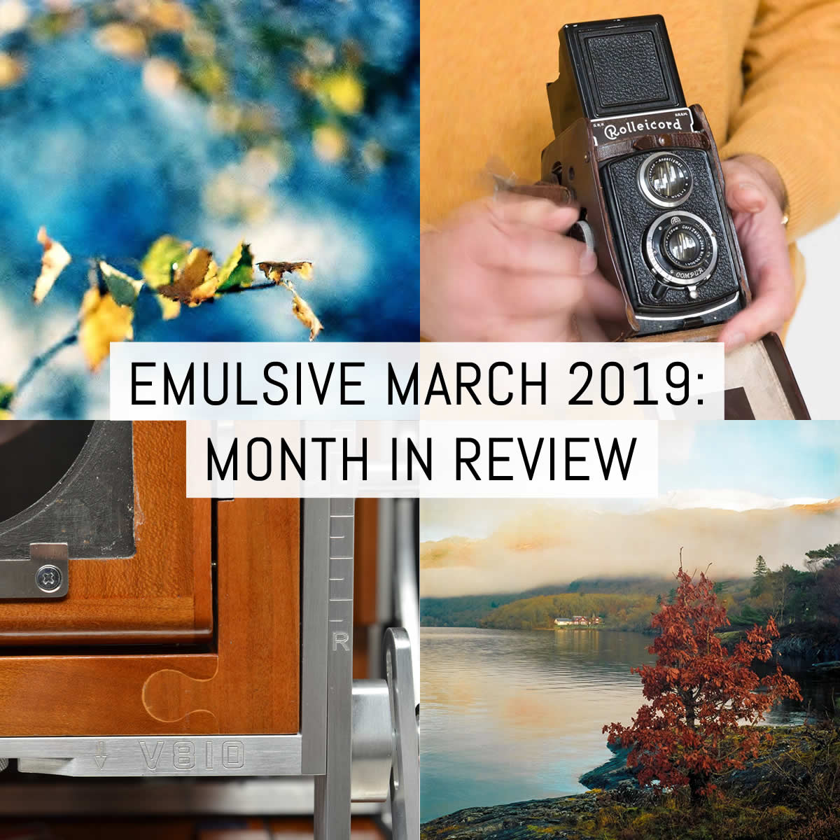 Cover - Month in review - 2019 March