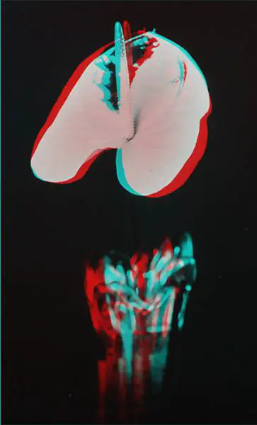 Floating Flower anaglyph