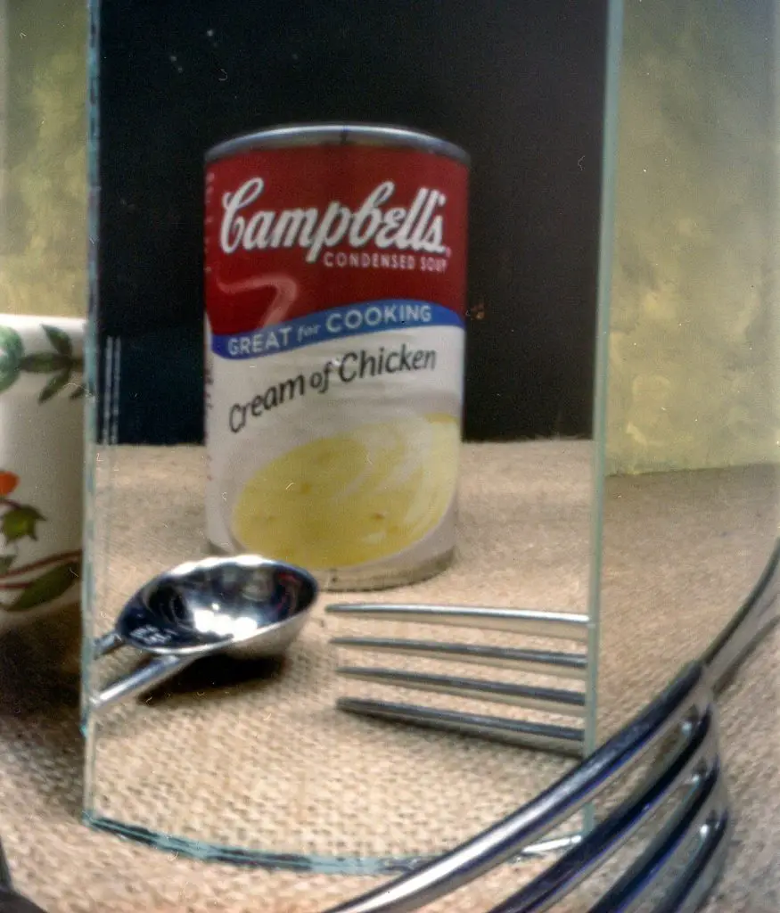 Campbells Cream of Chicken - Fuji Pro 400H