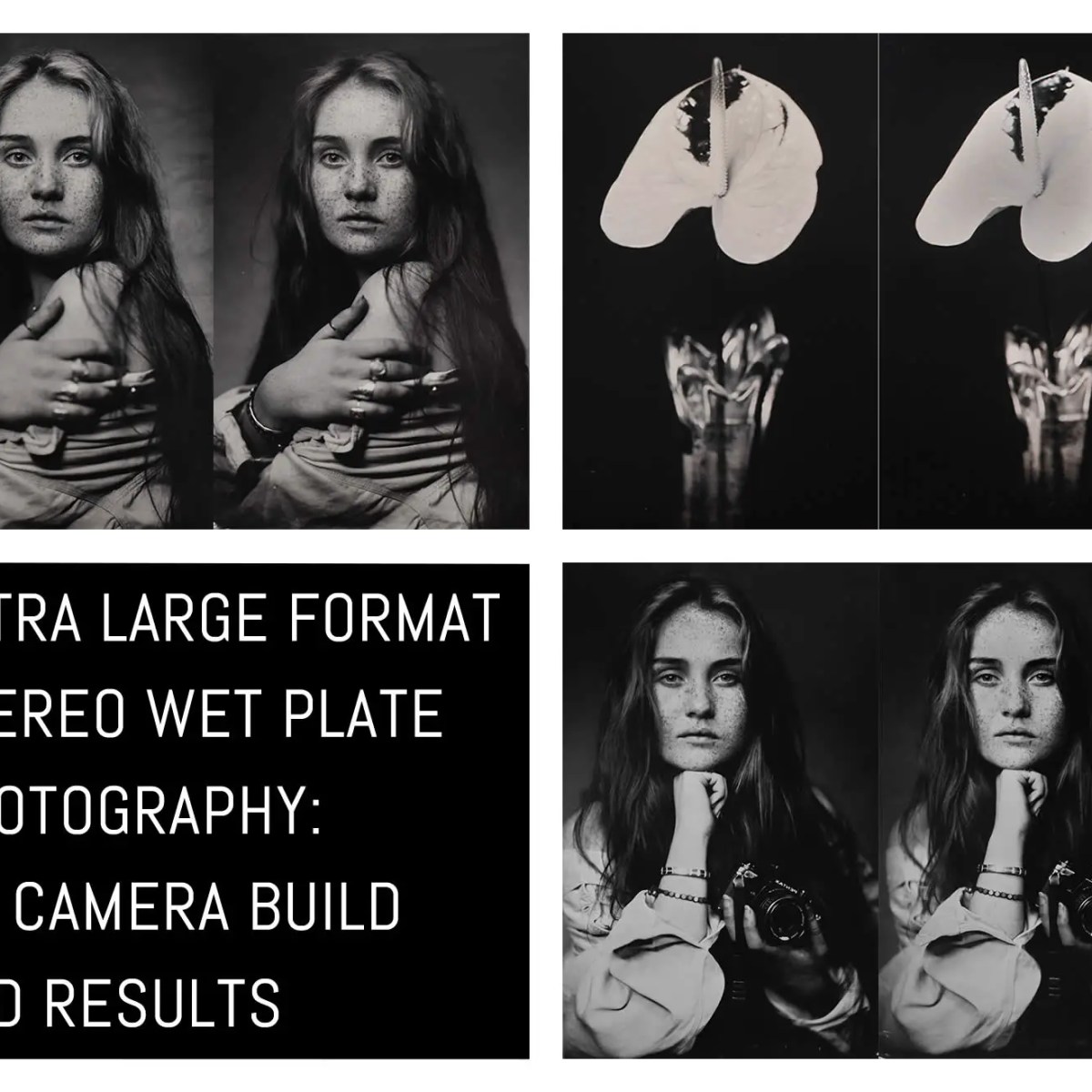 Cover: Ultra large format stereo wet plate photography - my camera build and results