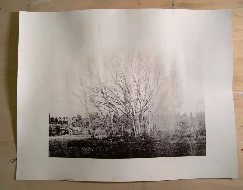 The final fomabrom print 6s, Arista .5:.5:24, soaked in H202 for 1 minute, and NOT flashed with my torch.