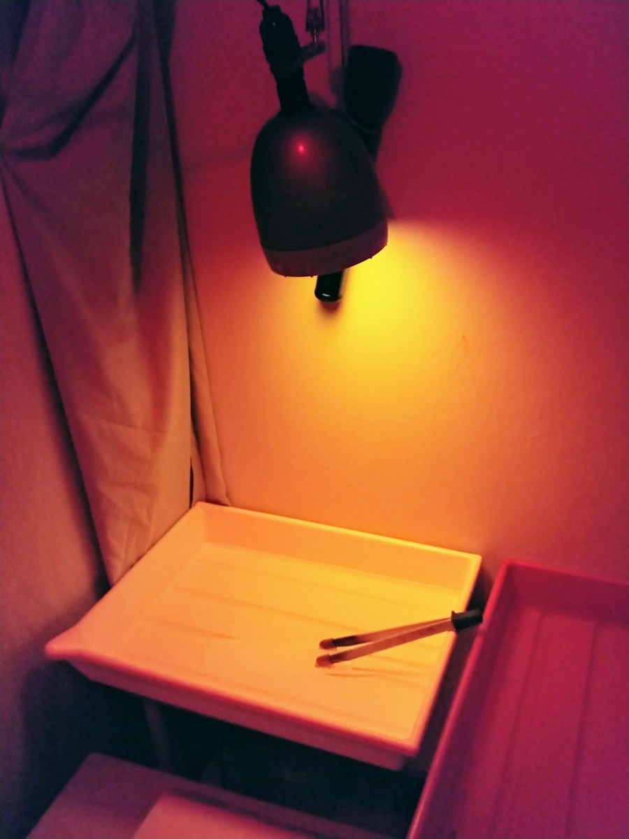 A practical guide to... Lith printing - EMULSIVE