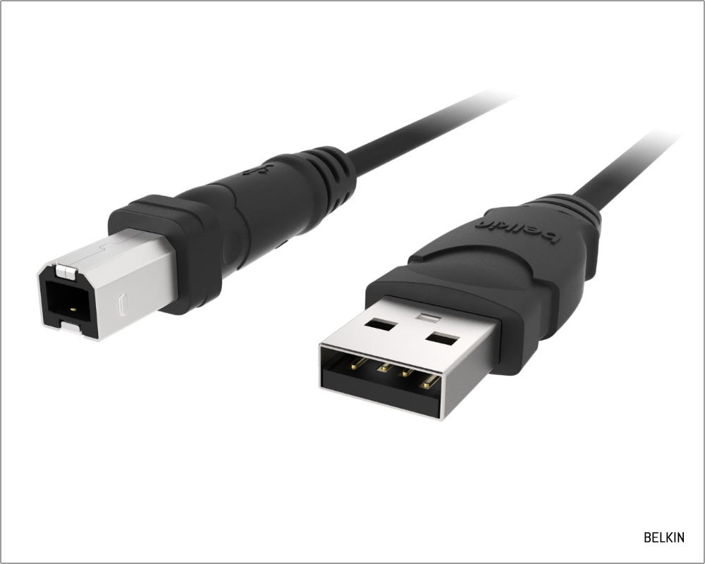USB A to USB B cable (Credit: Belkin)