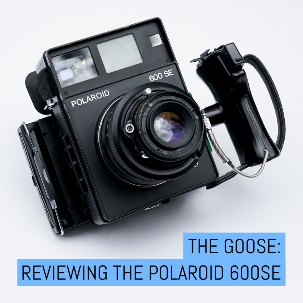 The GOOSE: Reviewing the Polaroid 600SE - EMULSIVE