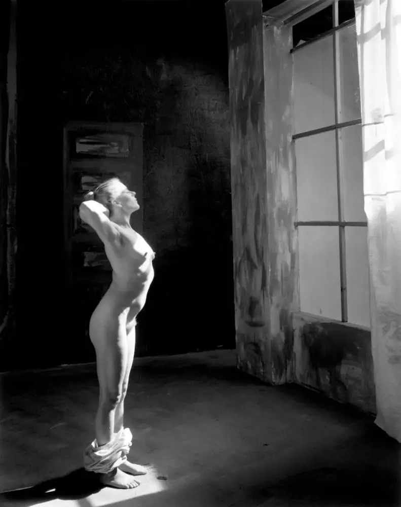 Nude in Window