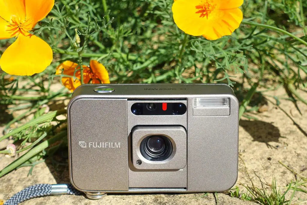 The Fujifilm DL Super Mini